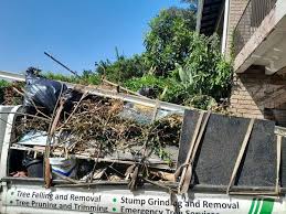 Best Moving and Downsizing Cleanouts  in Lumber City, GA